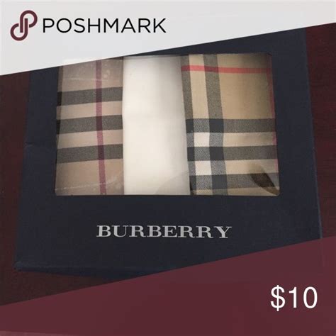 burberry london mens ties|burberry handkerchief for men.